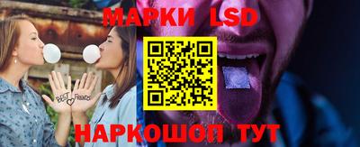 твердый Гатчина